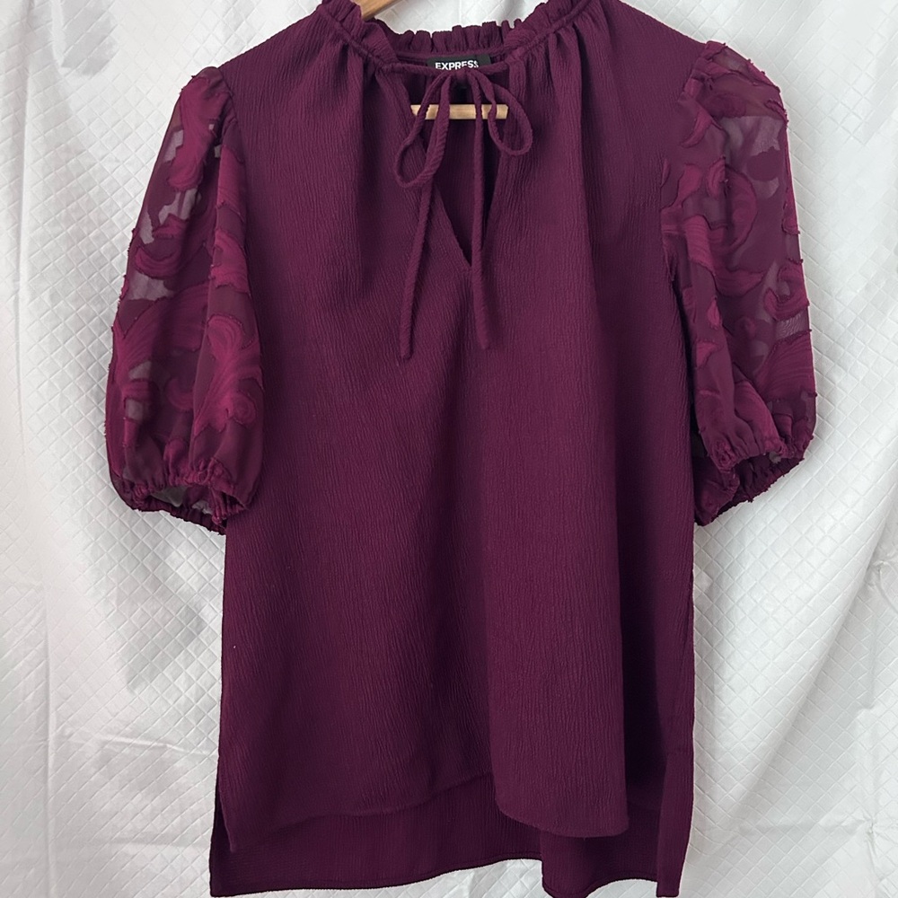Women's Plum Purple Blouse with Sheer Sleeves